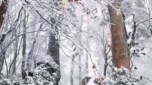 今天又下雪❄️啦，快带小神兽来赏雪，还有绝美冰瀑等你打卡哈#冬天一起去看冰瀑吧 #成都周边赏雪 #冬