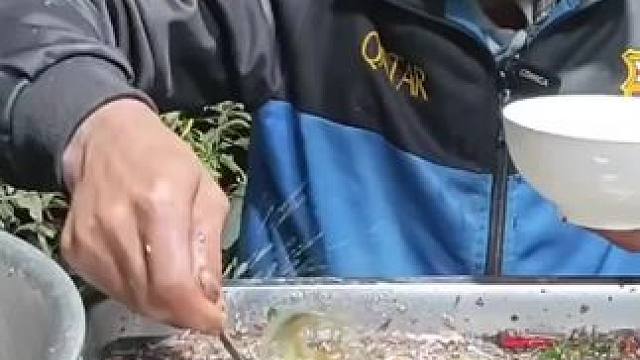 越南特色鱼生 #农村美食 #我的乡村生活 #家乡特色 #舌尖上的味道