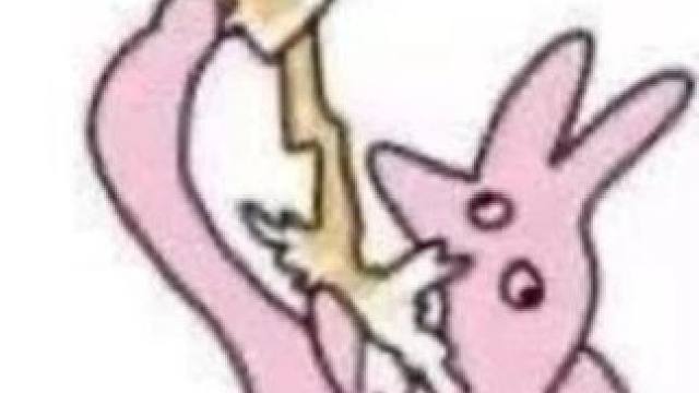 怎么会有小猫走路东倒西歪的 #猫咪 #喝醉酒的朋友 #动物的迷惑行为 #娱乐评论大赏