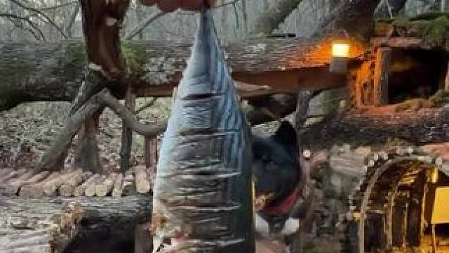 当野人之后 #露营报告