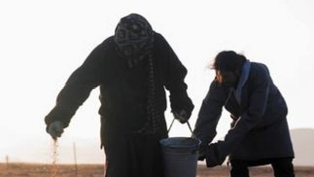 在辽阔的若尔盖草原上，藏族牧民巴让每年都在组织藏民们播撒草种，防治日益严重的荒漠化。他们是#若尔盖草