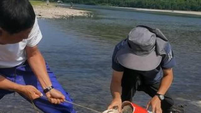 #户外捕鱼 #好多鱼