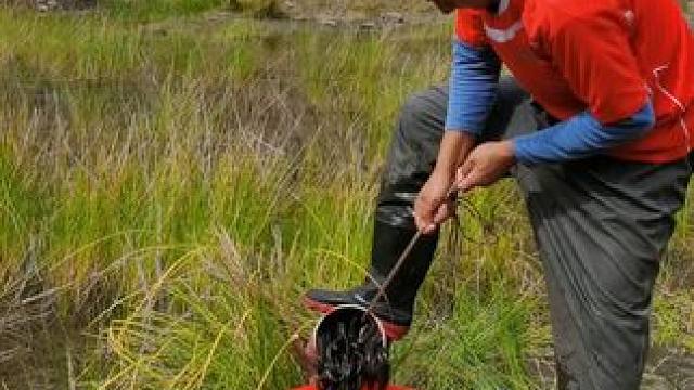 #户外捕鱼 #好多鱼