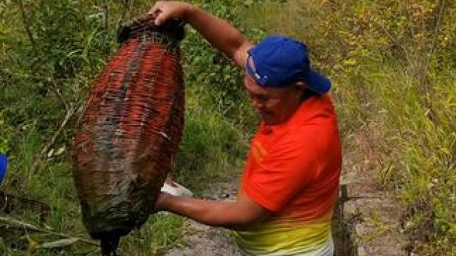 #户外捕鱼 #好多鱼