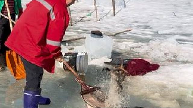 #户外捕鱼 #好多鱼