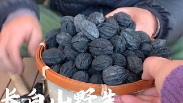 长白山野生核桃炭，高温碳化温度高火力猛适合烧烤烤肉，围炉煮茶增茶香提升氛围#户外露营 #围炉煮茶 #