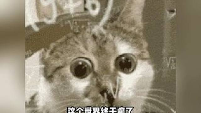 都说年味越来越淡
整点对联辣条 给新年来点新口味 #对联  #对联辣条  #万万没想到  #玩个很新