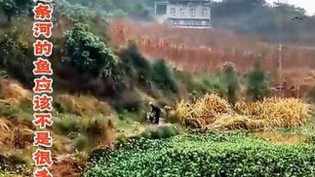 钓鱼人真实记录，一天换多个钓场，证明鱼有多难钓 钓鱼人真实记录，一天换多个钓场，证明鱼有多难钓#钓鱼