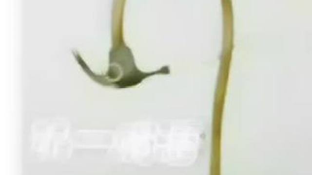 #皮皮虾#皮皮虾今日好笑 #皮一下很开心 #