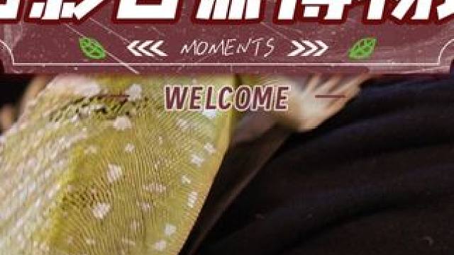 蛇年来虫影，添福添彩 亲子票一大一小168！蛇年看蛇就来虫影自然博物馆#被宁波的冬天种草了 #虫影B