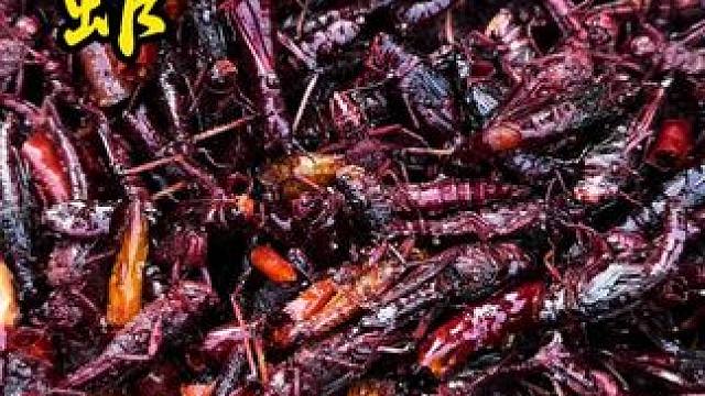 小孩子们都放假了 带他们快乐一下～ #炸蚂蚱#把家乡的味道分享给大家#地方特色美食#双凤#新农人计划