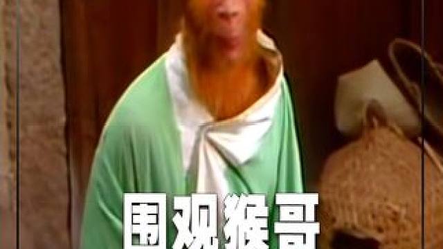猴哥往那一站，让人唠了一辈子#西游记 #鹅滴神片 #经典剧好看