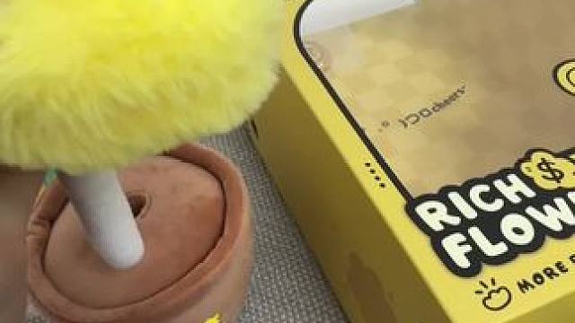 这对吗？这不对吧#毛绒玩具 #潮玩 #新年礼物 #毛茸茸 #谁能拒绝呆萌的玩偶