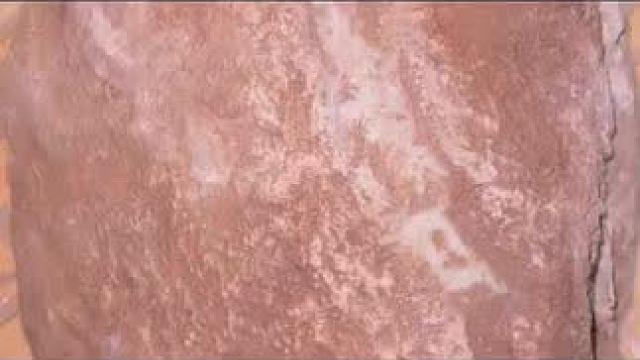 好东西一起分享给大家~