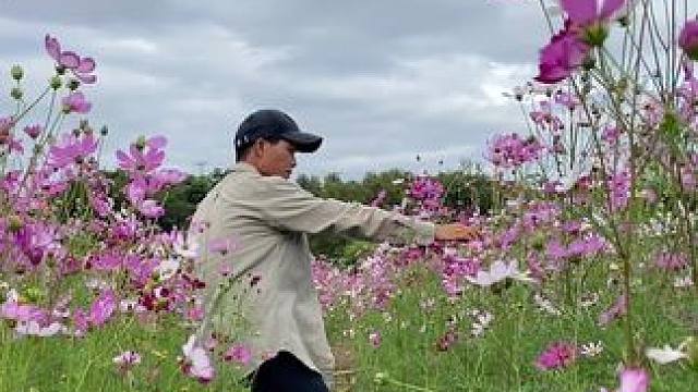 看到花花美景试试这样拍太美了#手机摄影 #拍摄技巧 #拍花技巧 #治愈系风景