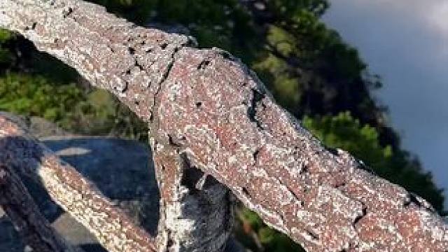 今日黄山 旅游包车、黄山市各大景区往返接送，租车热线：17755900200