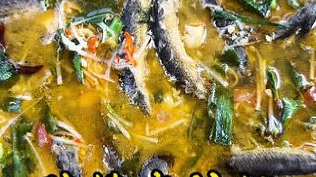 也不晓得这顿饭老妈满不满意～ #泥鳅#把家乡的味道分享给大家#地方特色美食#双凤#新农人计划2025