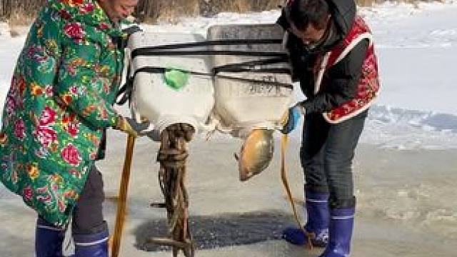 #户外捕鱼 #好多鱼