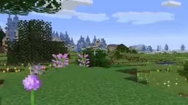 #我的世界 #Minecraft