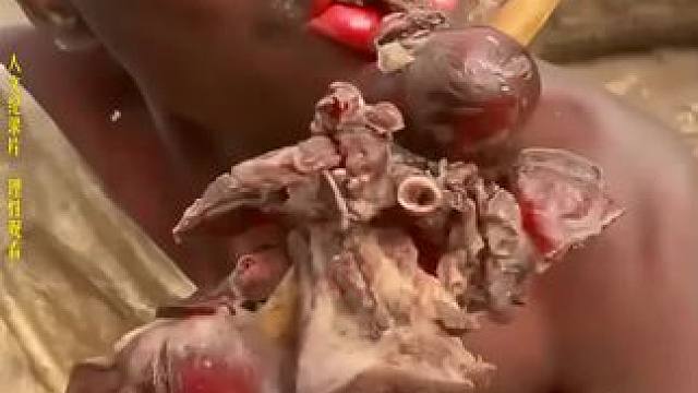 赶快艾特你的朋友吃！ #哈扎比部落