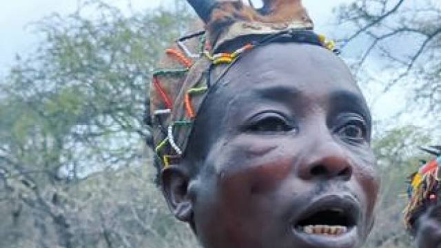 哈扎比过年，杀野猪和猪血！ #哈扎比部落 #内容过于真实