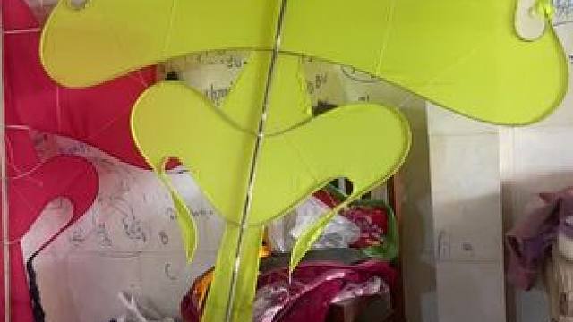 风筝节 #放风筝#风筝节