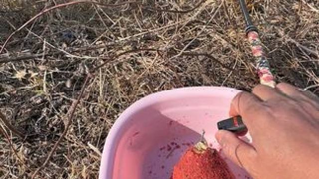 钓鱼的乐趣只有钓鱼人懂~