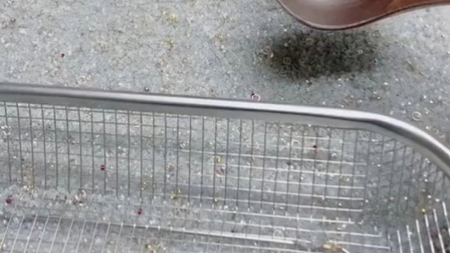 你白天在那个食堂上班？