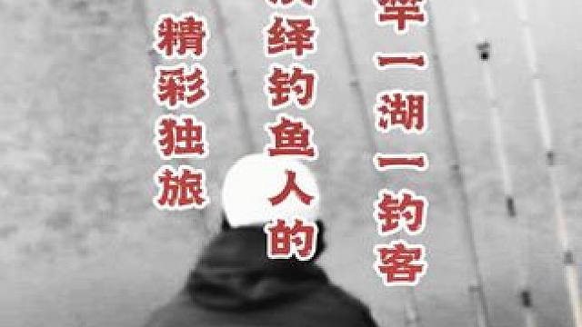 钓鱼的乐趣只有钓鱼人懂~