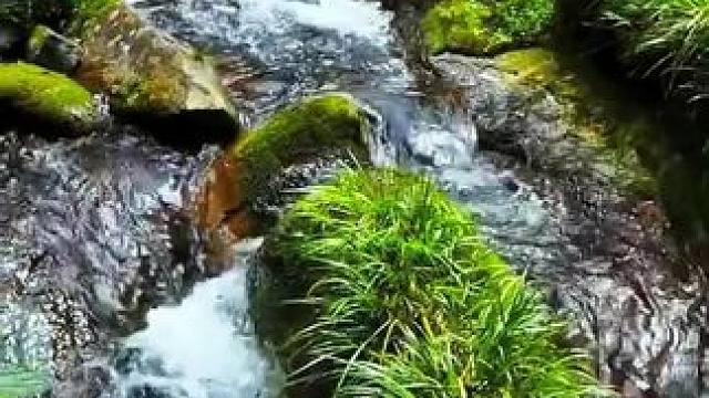 当你学会了装傻，懂得了扮哑，突然就会发现，心知肚明的事，其实不必言说，言不由衷的人，没有必要去拆穿。