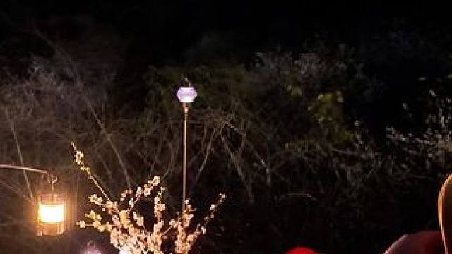 户外撒野，自由的释放自己，让疲惫的生活解解乏。#远离城市的喧嚣 #露营⛺ #享受安静和独处 #惬意时