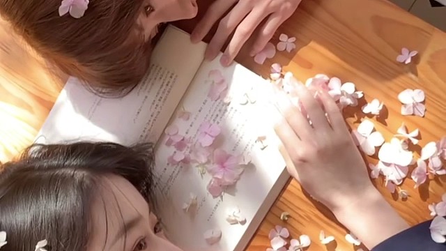 绽放的樱花 盛开的裙摆 你和我