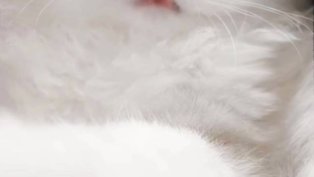 妈妈是母老虎～