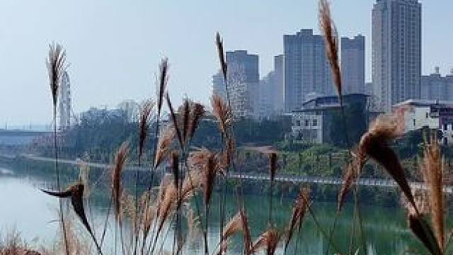 异乡的山水虽然是好，可我更爱我的故乡#回家过年 #家乡风景优美空气清新