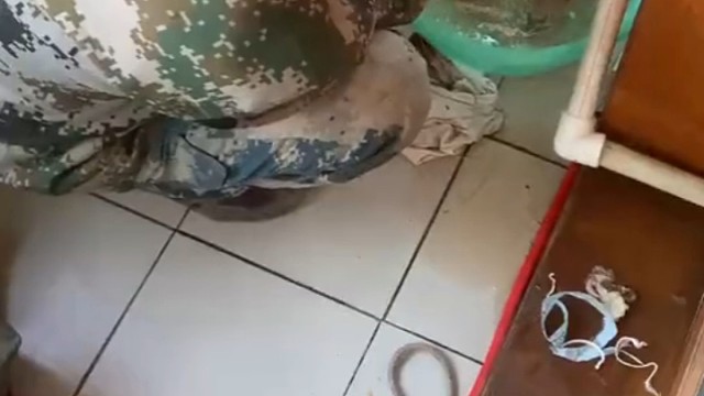 水管：你在那儿跟谁比比画画的呢？