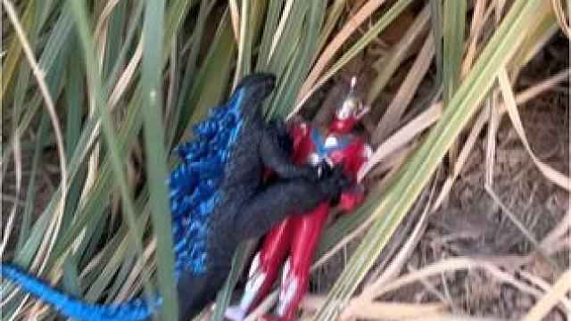 奥特曼遇到了危险看我怎么教训小怪兽#奥特曼玩具 #小孩的玩具 #模型玩具