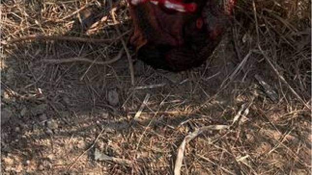 奥特曼被怪兽欺负了#儿童玩具 #奥特曼玩具 #小盆友玩具