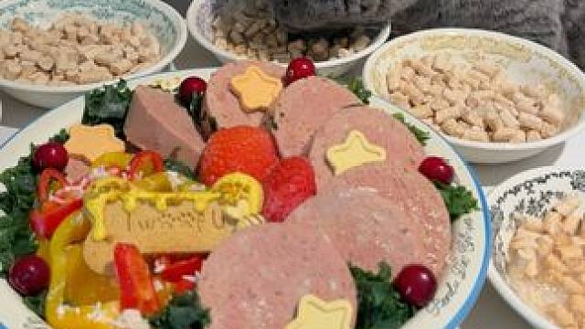 鸡汤泡饭美美吃上 #养猫日常 #养狗人 #urpet冻干#urpet汤罐#主食冻干