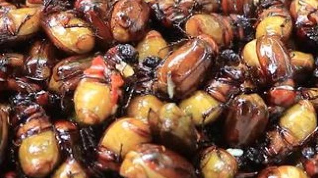 昆虫美食。#舌尖上的美食 #爱生活爱美食 #把家乡的味道分享给大家 #农村美食记录生活 #东南亚美食