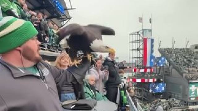 费城老鹰击败洛杉矶公羊，挺进国联决赛！快一起来感受现场氛围！ #美式橄榄球 #超级碗之路 #橄榄球 