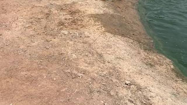 天气太冷起早锻炼锻炼身体#危险动作请勿模仿 #不走寻常路 #早睡早起锻炼身体