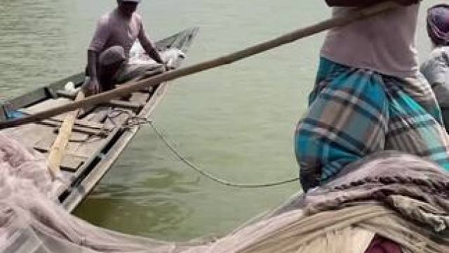 撒网捕鱼#撒网捕鱼#捕鱼#户外捕鱼#捕鱼达人#农村生活