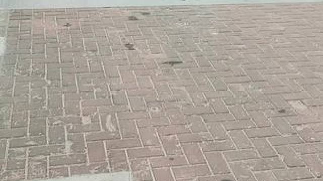 流放之路2 镜子复制bug