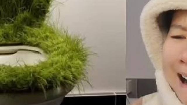 奇葩马桶真搞笑