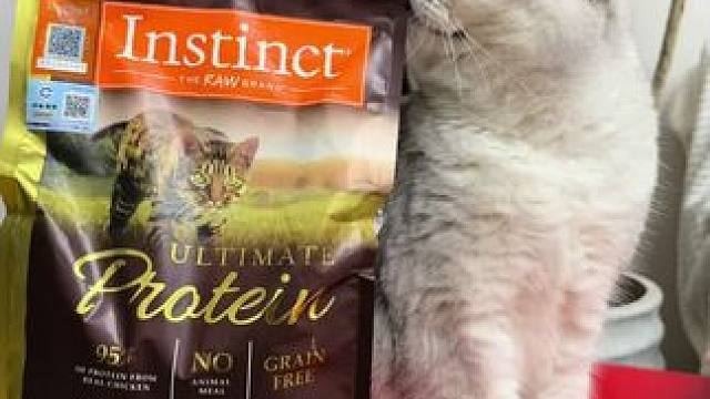 这把手拿把掐 #萌宠好物 #猫粮推荐 #科学养宠 #吃货猫