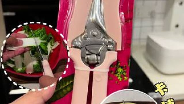 剪骨如剪纸，优雅处理厨房生食 #厨房好物 #剪骨刀