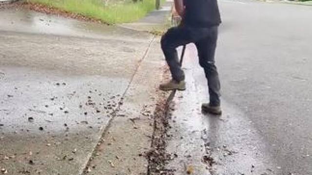 雨季过后的清洁与修理灌木。 #解压视频 #极度舒适 #男人减速带 #极度舒适 #舒服又解压