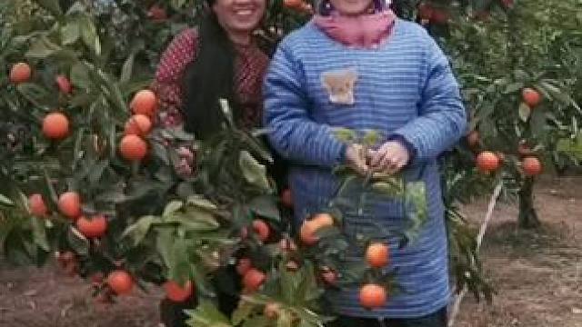 山卡卡里的农村大姐学费了开直播每天收获满满您还在恐播怕播吗 #记录真实生活 #农村生活 