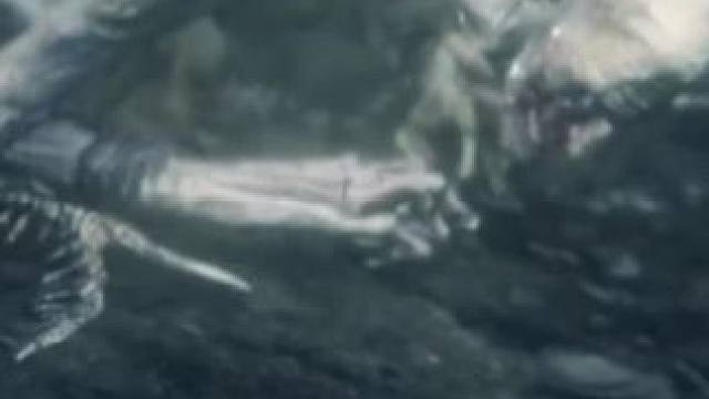 【Bloodborne】 最让人San值狂掉的Boss！科斯的孤儿！#魂类游戏 #只狼 #艾尔登法环