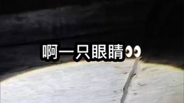 #激情演绎 #宇小宇户外 #如有雷同纯属娱乐